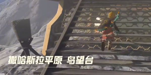 王国之泪鸟望台采蘑菇任务怎么做 鸟望台采蘑菇任务攻略
