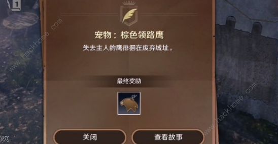 黑色沙漠最后的推理任务怎么做 最后的推理任务完成攻略​
