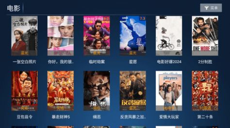 胜越TVpro授权版下载软件 v2.0