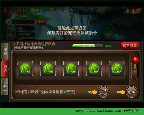 囧西游手游灵宠培养全面攻略 宠物喂养融合技巧分享图片2