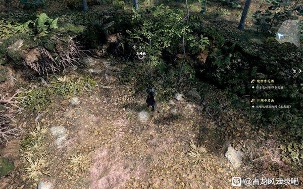 古龙风云录第一章支线收集攻略 第一章支线物品在哪