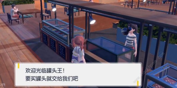 宝可梦朱紫料理食谱大全 万能公式及调味料总汇图片4