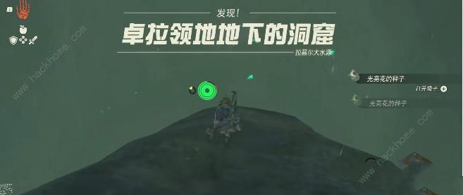 王国之泪沉睡于大鱼之下的秘宝在哪 沉睡于大鱼之下的秘宝位置一览图片8
