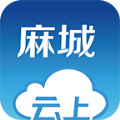 云上麻城app下载手机版 v1.0.8