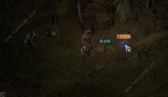 暗黑破坏神4斑点菇任务怎么做 斑点菇隐藏任务完成攻略图片3