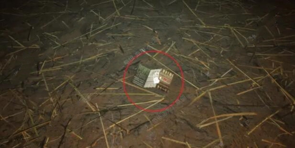怨念malice攻略大全 全章节通关图文总汇图片3