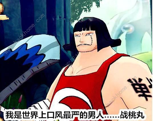 航海王燃烧意志4月更新预告 SSR战桃丸SR贝宝即将登场图片3