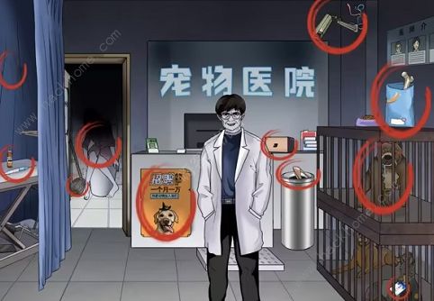 文字玩出花宠物医院怎么过 宠物医院找到12个细思极恐的地方图片2