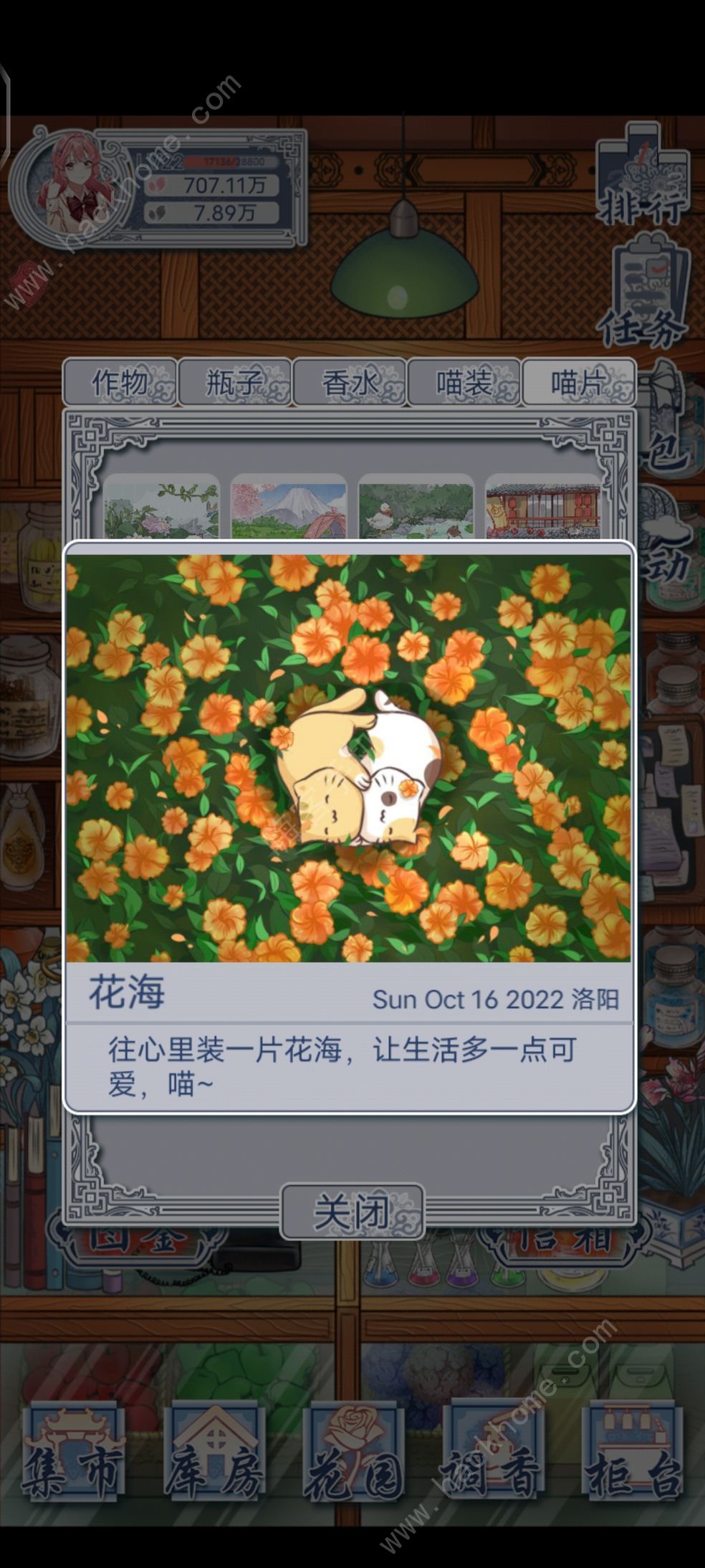 花与香水与猫香水考级升4-5星攻略 4-5星香水等级提升方法