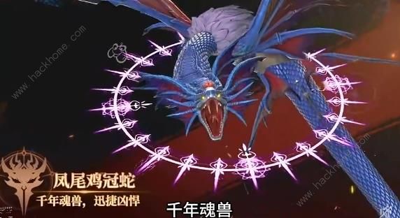 斗罗大陆史莱克学院怎么刷帮贡 小号刷爱心帮贡技巧图片2