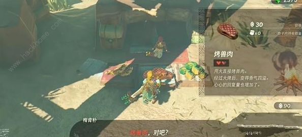 王国之泪复制食物攻略 复制食物怎么用图片4