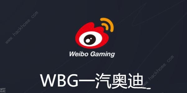 英雄联盟选手六芒星图在哪看 lol选手六芒星图查看方法图片3