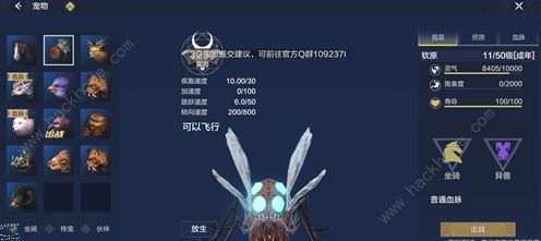 妄想山海坐骑哪个好 新手坐骑选择推荐