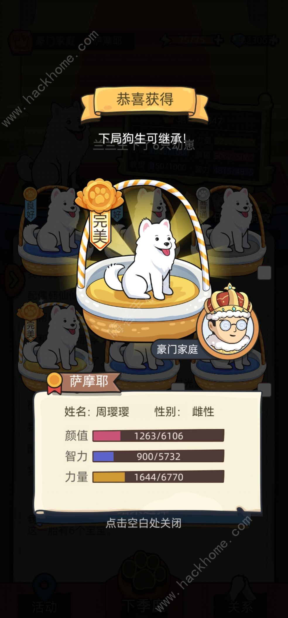 狗生模拟器怎么去富人区 快速进入豪门攻略