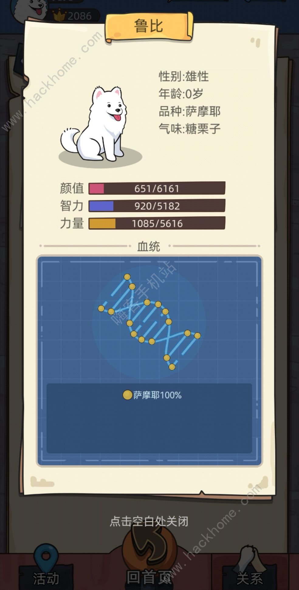狗生模拟器怎么去富人区 快速进入豪门攻略图片2