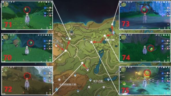 原神草神瞳位置图片大全 3.0草神瞳全部分布点位总汇图片16