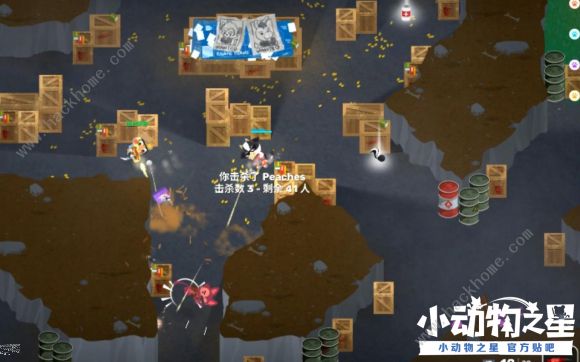 小动物之星新手攻略 吃鸡必备技巧图片2