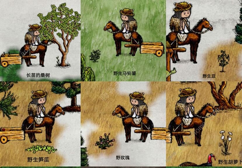 华夏人生种植攻略 详细种植技巧汇总图片2