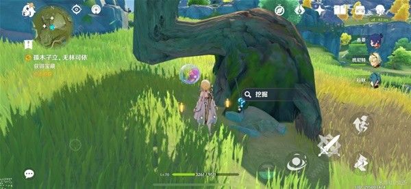原神孤木孑立无林可依任务怎么做 孤木孑立无林可依任务完成攻略图片18