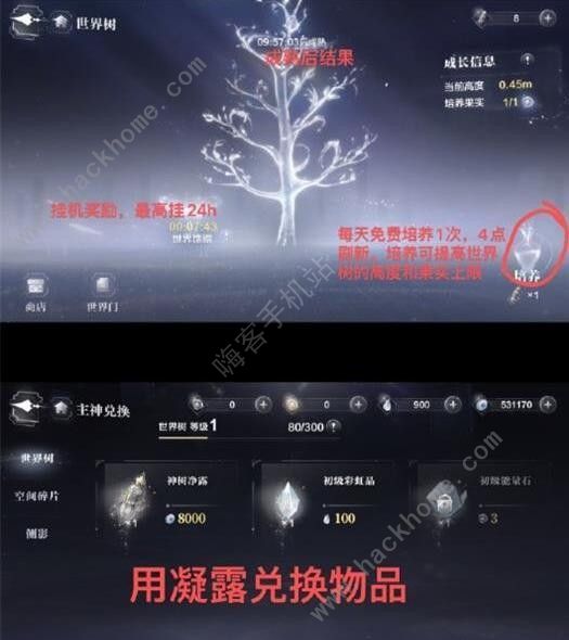 世界之外世界树果实有什么用 世界树果实培养详解图片2
