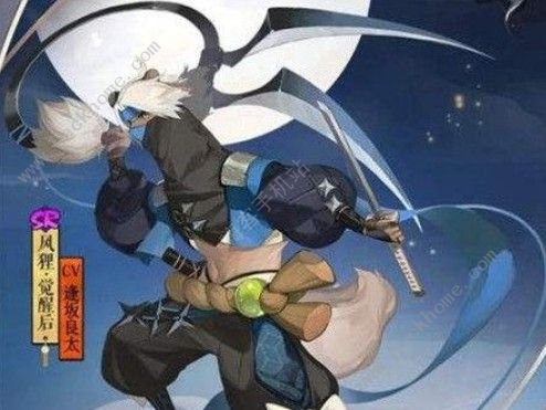 阴阳师风狸用什么阵容好 风狸阵容详解
