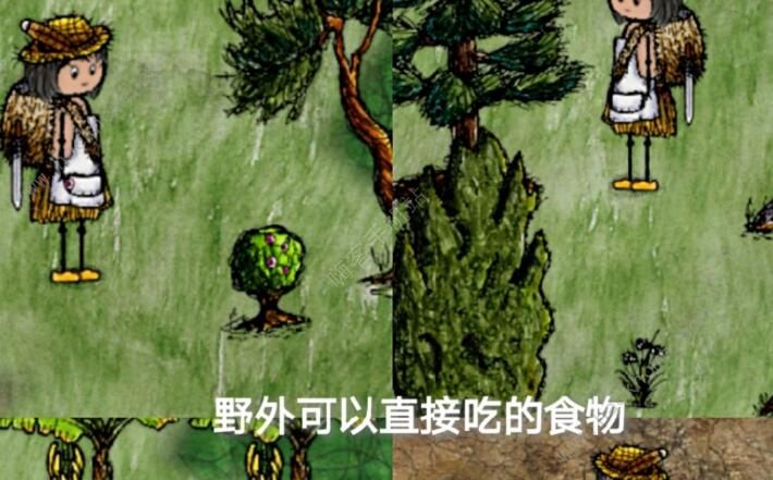 华夏人生种植攻略 详细种植技巧汇总图片3