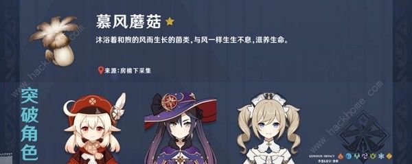原神3.8上半卡池全角色养成攻略 3.8版本上半场卡池角色有哪些图片3