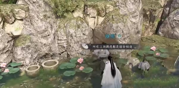 逆水寒手游御鹤逐花怎么获得 御鹤逐花具体位置详解图片3