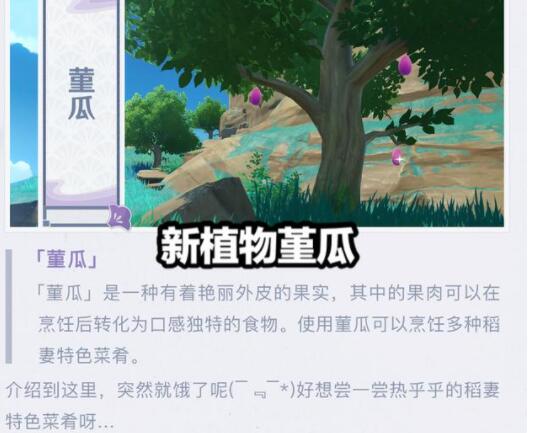 原神于狱中绽放之花任务攻略 于狱中绽放之花任务图文攻略图片3