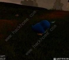 幻兽帕鲁企丸丸吃什么 企丸丸特性进化攻略图片14