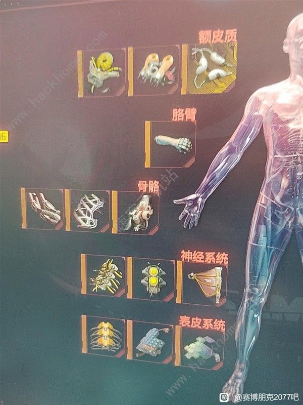 赛博朋克2077钝器流怎么配装 钝器流配装搭配推荐图片6