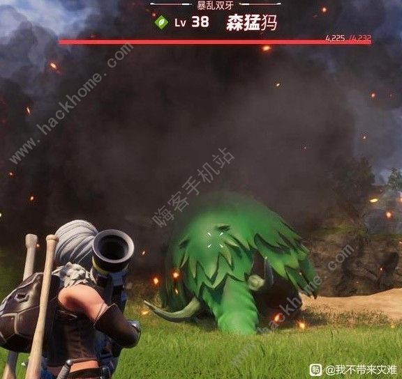 幻兽帕鲁企丸丸吃什么 企丸丸特性进化攻略图片4