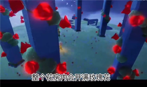 光遇小王子季任务攻略大全 小王子季任务图文流程详解图片17