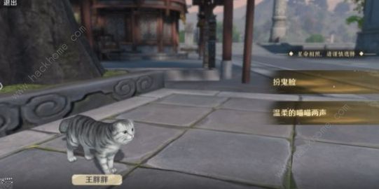 天涯明月刀手游小猫咪怎么获得 小猫咪奇遇任务攻略图片2