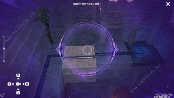 原神2.8幻境海螺位置第四天攻略 2.8幻境海螺第四天位置收集总汇图片8