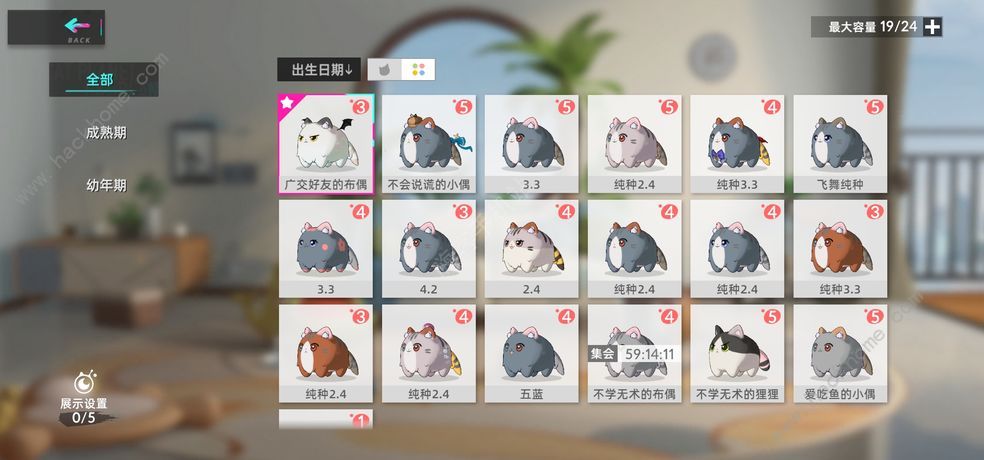 猫之城收藏品解谜攻略 钓鱼全成就解锁总汇