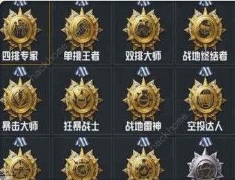 和平精英军备团竞专家徽章是什么 军备团竞专家徽章详解