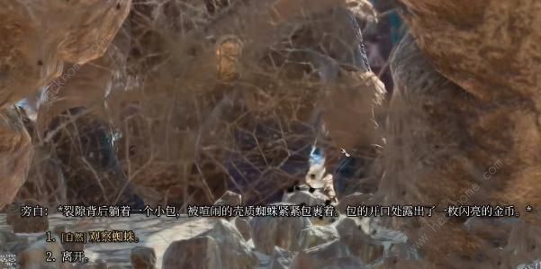 博德之门3蜘蛛卵囊有什么用 蜘蛛卵囊获取及作用详解图片8