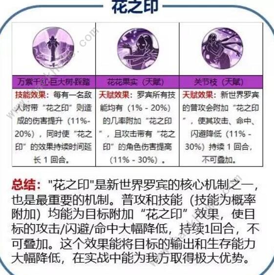 航海王燃烧意志新世界罗宾阵容攻略 新世界罗宾最强阵容详解图片1