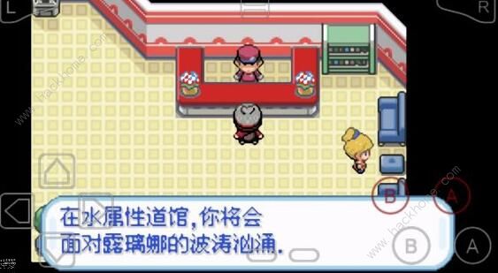 口袋妖怪剑盾gba攻略大全 一周目详细通关流程图片4