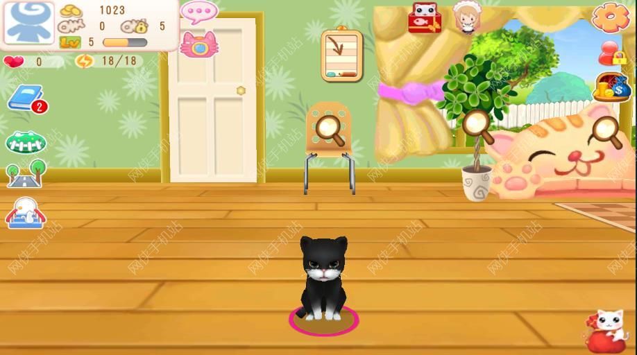 晴天小猫如何偷猫 偷猫秘籍