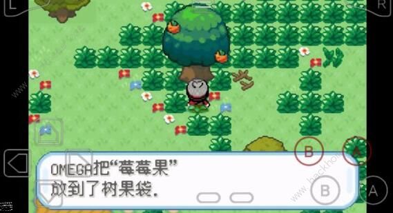 口袋妖怪剑盾gba攻略大全 一周目详细通关流程图片3