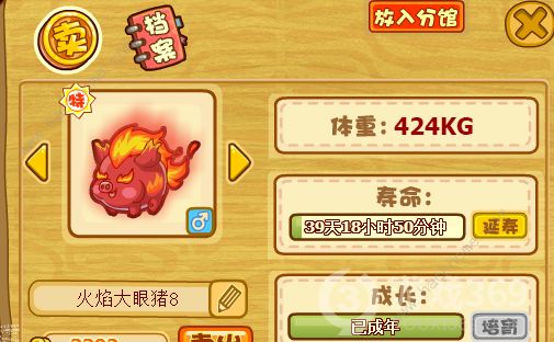 摩尔庄园养猪攻略 怎么养猪喂猪