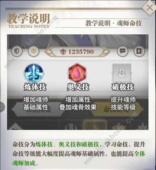 斗罗大陆武魂觉醒命技选择大全 最强命技怎么搭配图片2