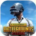 pubgmobile2.1测试服国际版下载正版 v3.3.0