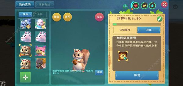 创造与魔法松鼠宠物厉害吗 松鼠宠物强度点评图片3