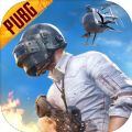 beta pubg 优优直装最新版下载 v3.3.0