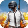 pubg1.9.0版本官方下载最新版 v3.3.0