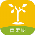 黄果树app苹果版下载 v1.1