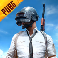 绝地求生国际服地铁逃生年正版下载安装（PUBG MOBILE） v3.3.0